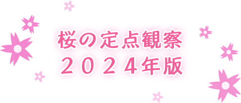 ̒_ώ@ 2024N